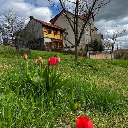Apartmán Kipsenblick Kreischa Exteriér fotografie
