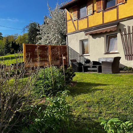 Apartmán Kipsenblick Kreischa Exteriér fotografie