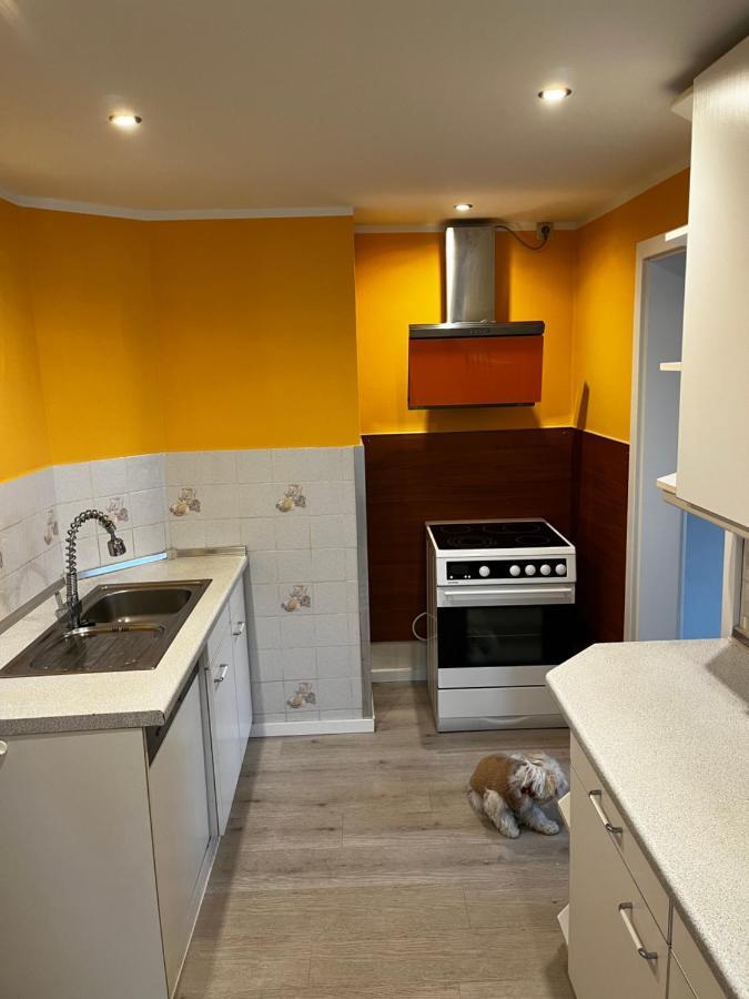 Apartmán Kipsenblick Kreischa Exteriér fotografie