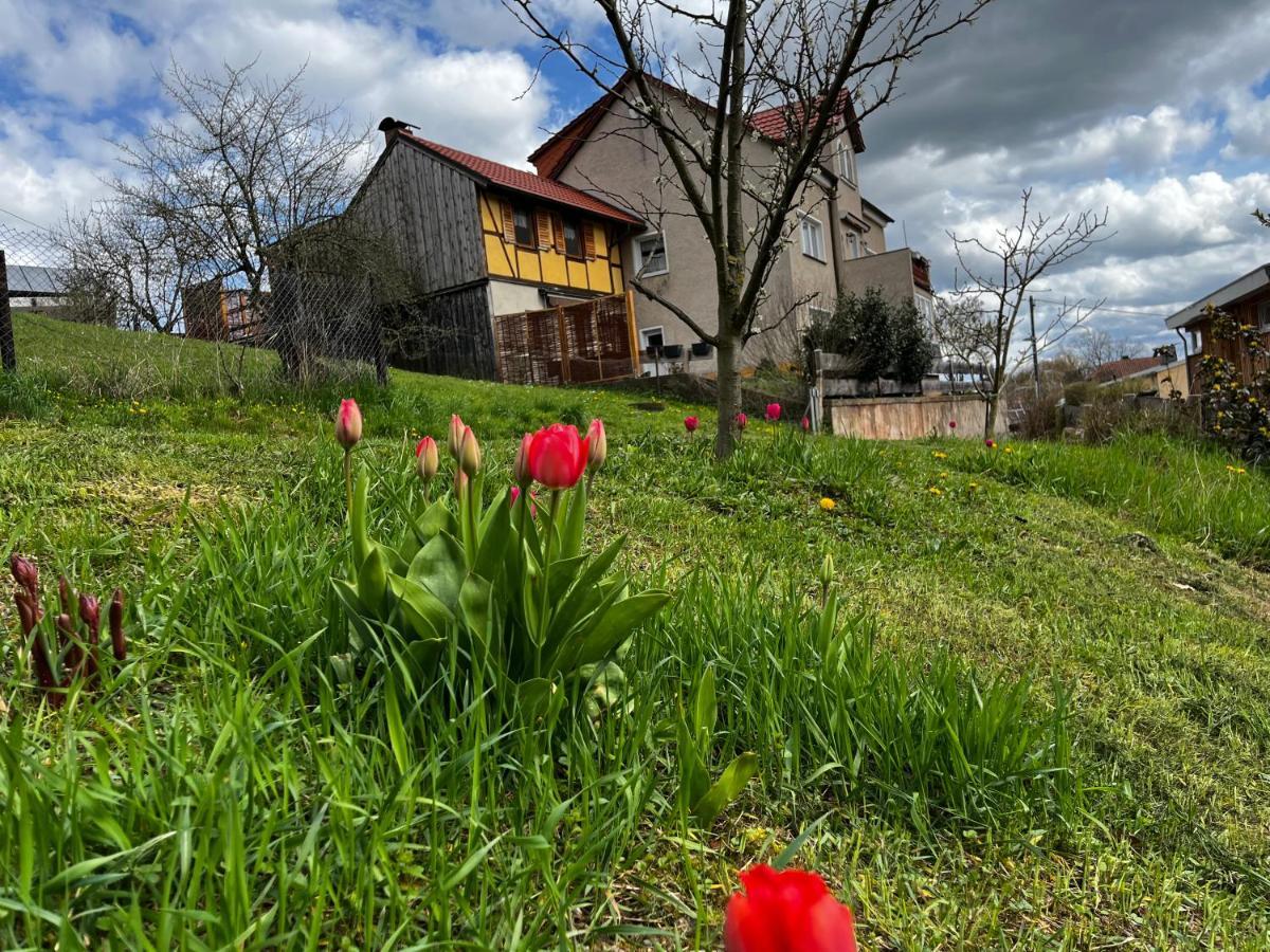 Apartmán Kipsenblick Kreischa Exteriér fotografie